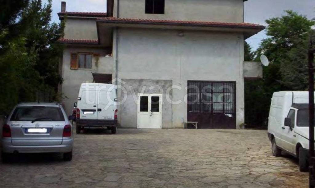 immagine annuncio 2 di 12