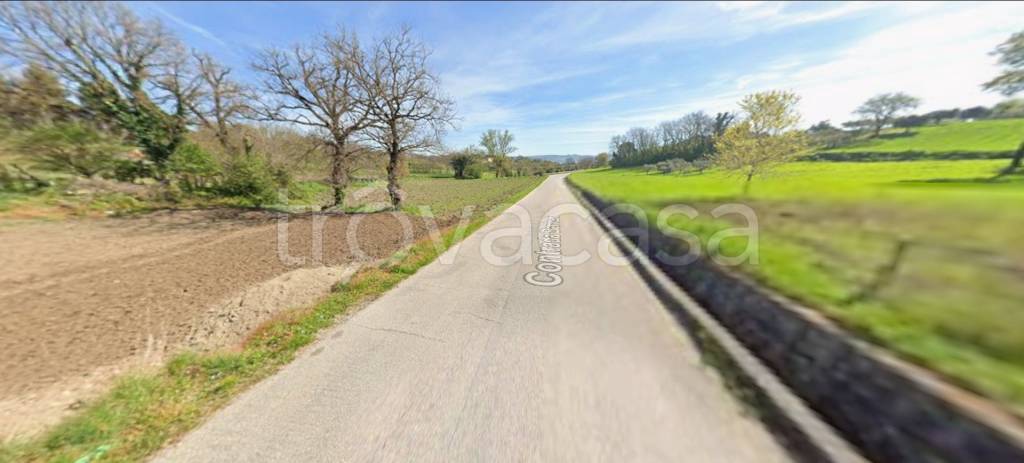 immagine annuncio 9 di 12