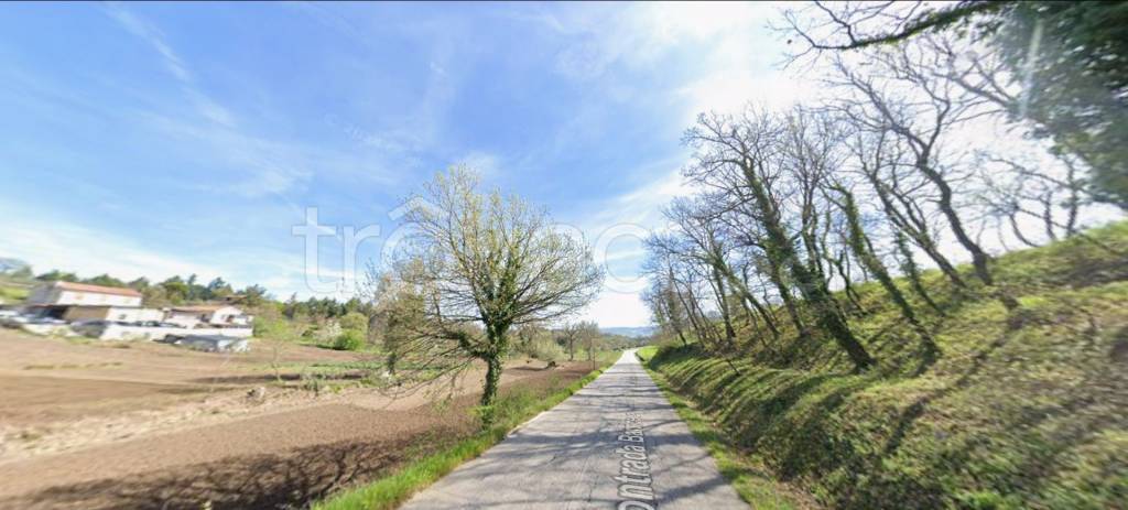 immagine annuncio 10 di 12