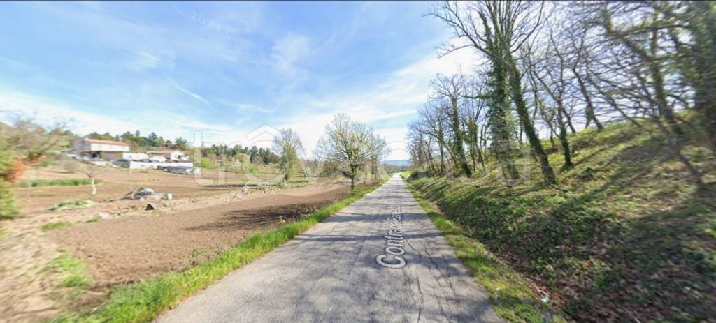 immagine annuncio 11 di 12