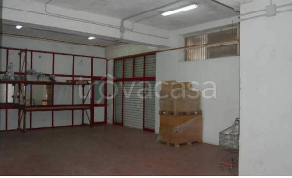 immagine annuncio 9 di 11