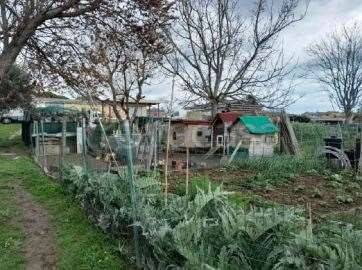 immagine annuncio 11 di 15