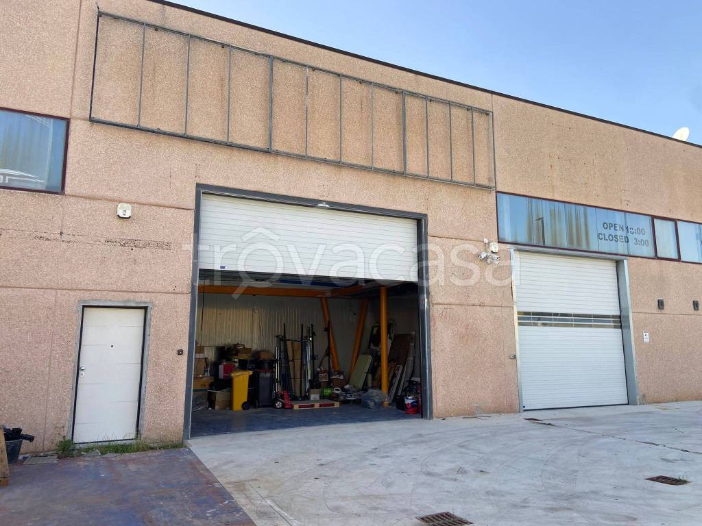 immagine annuncio 8 di 15