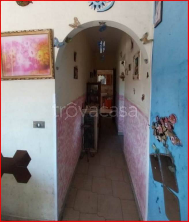 immagine annuncio 9 di 14