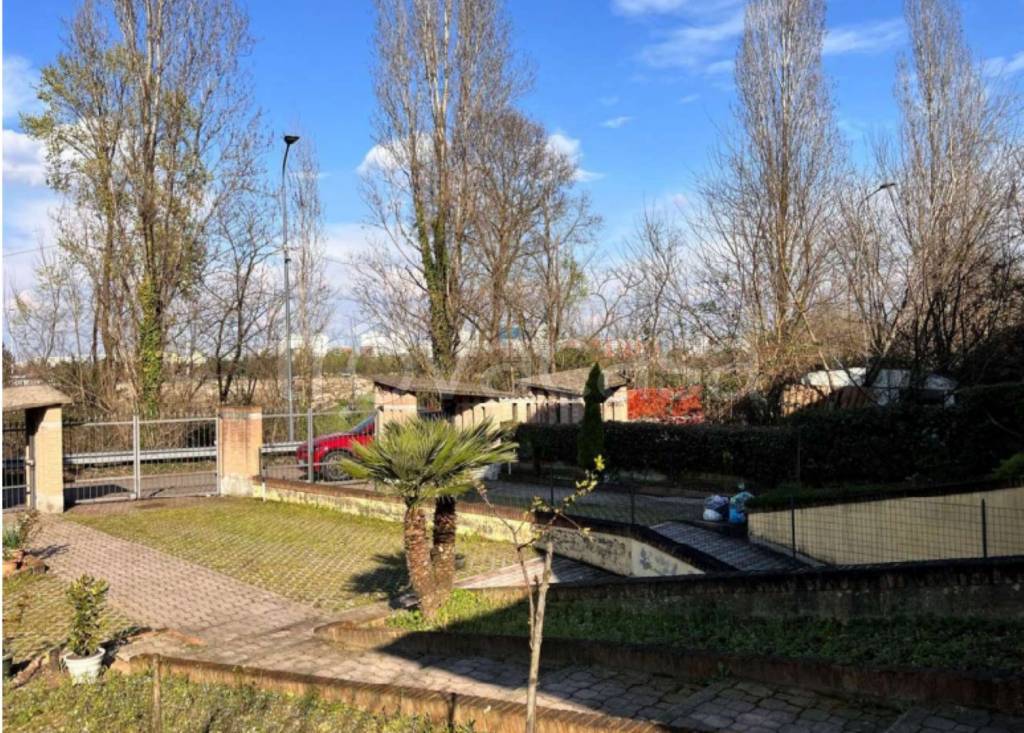 immagine annuncio 12 di 15