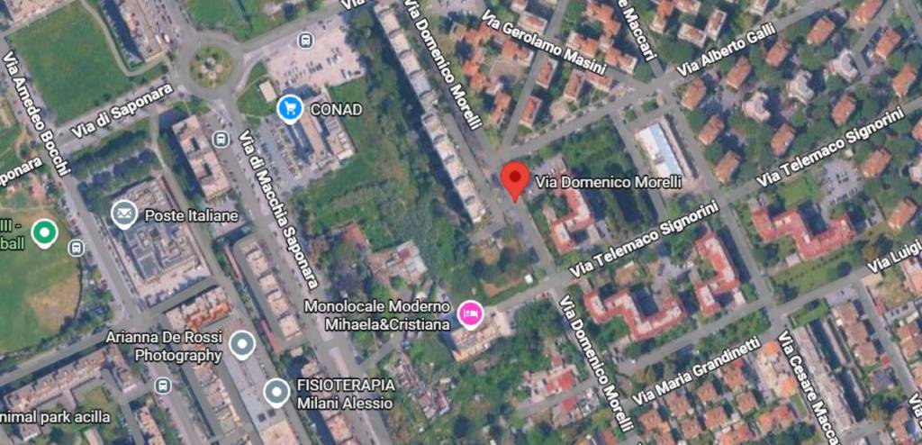 immagine annuncio 3 di 11