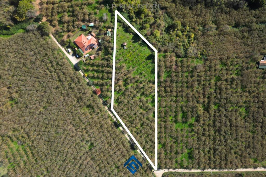 immagine annuncio 2 di 8