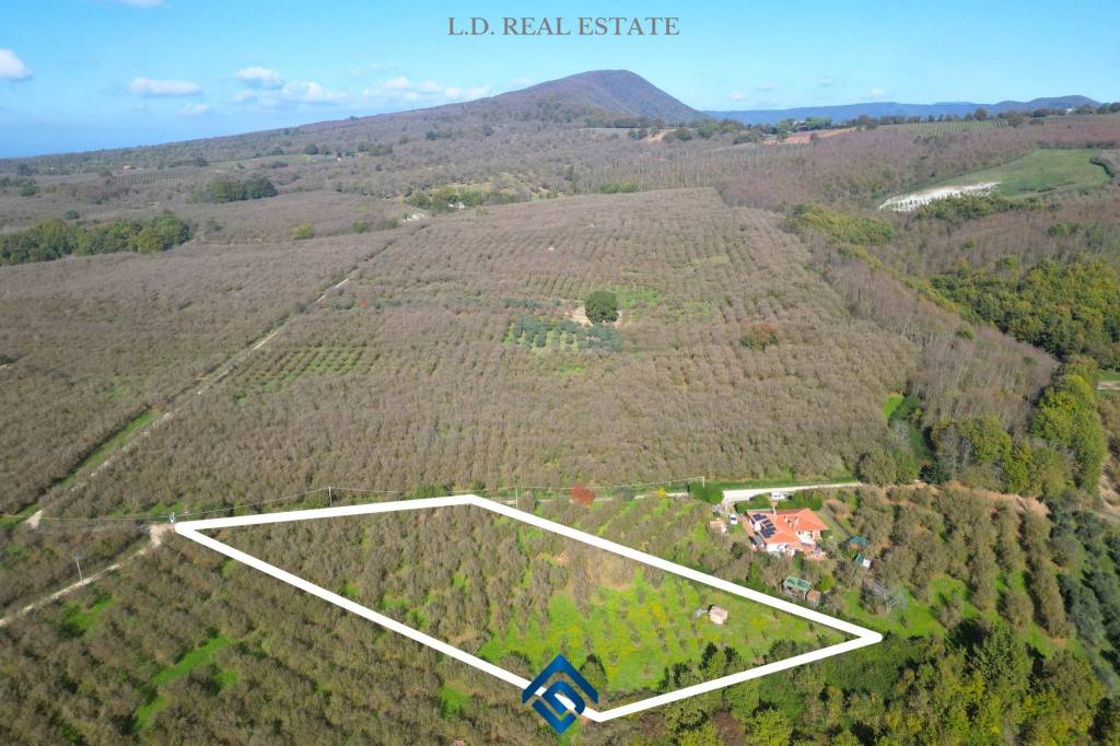 immagine annuncio 3 di 8