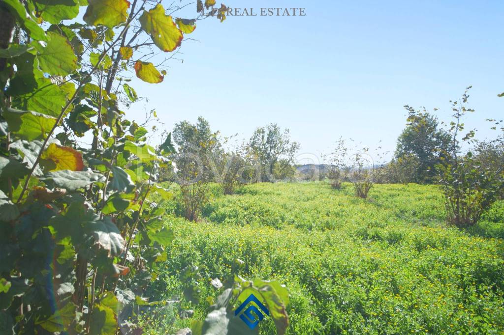 immagine annuncio 6 di 8