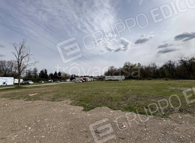 immagine annuncio 5 di 12