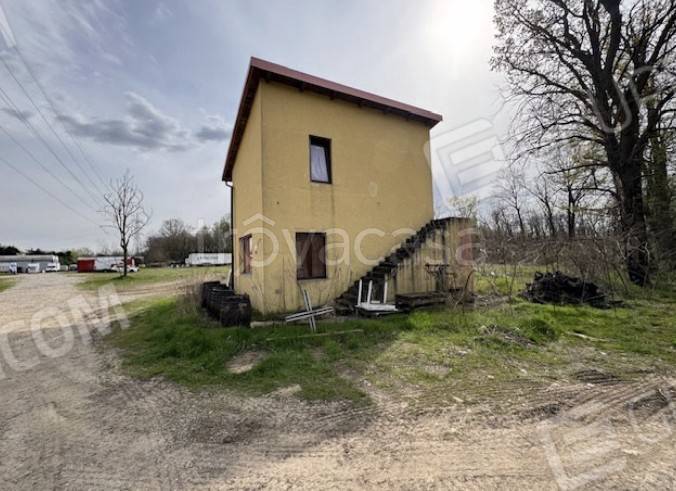 immagine annuncio 2 di 12