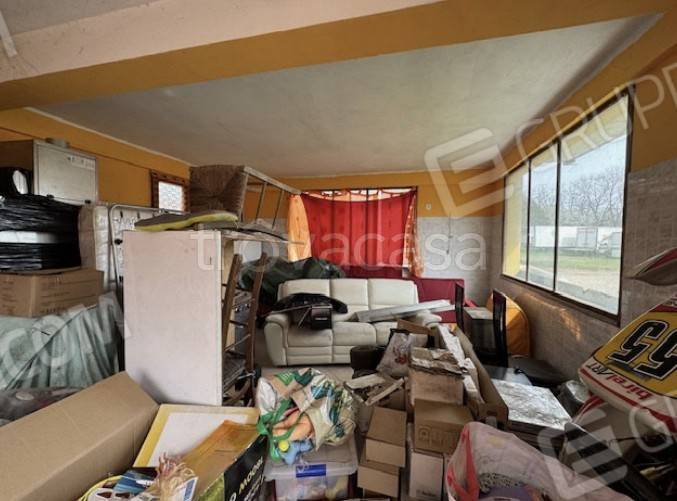 immagine annuncio 7 di 12