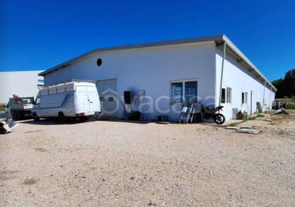 immagine annuncio 1 di 10