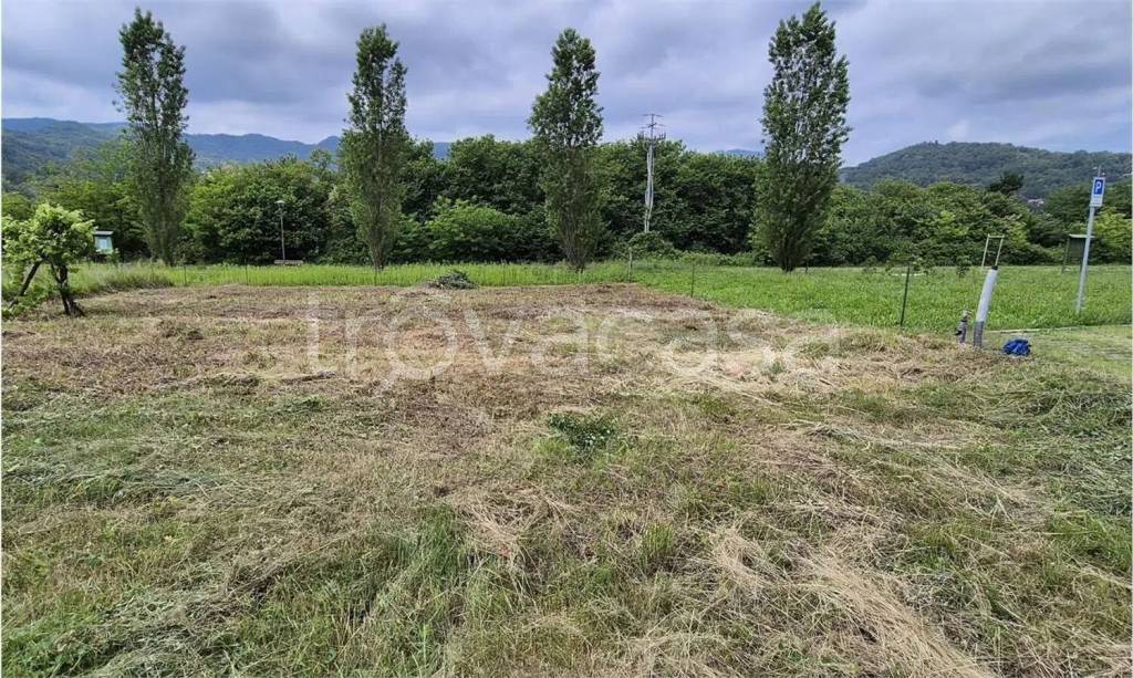 immagine annuncio 6 di 11