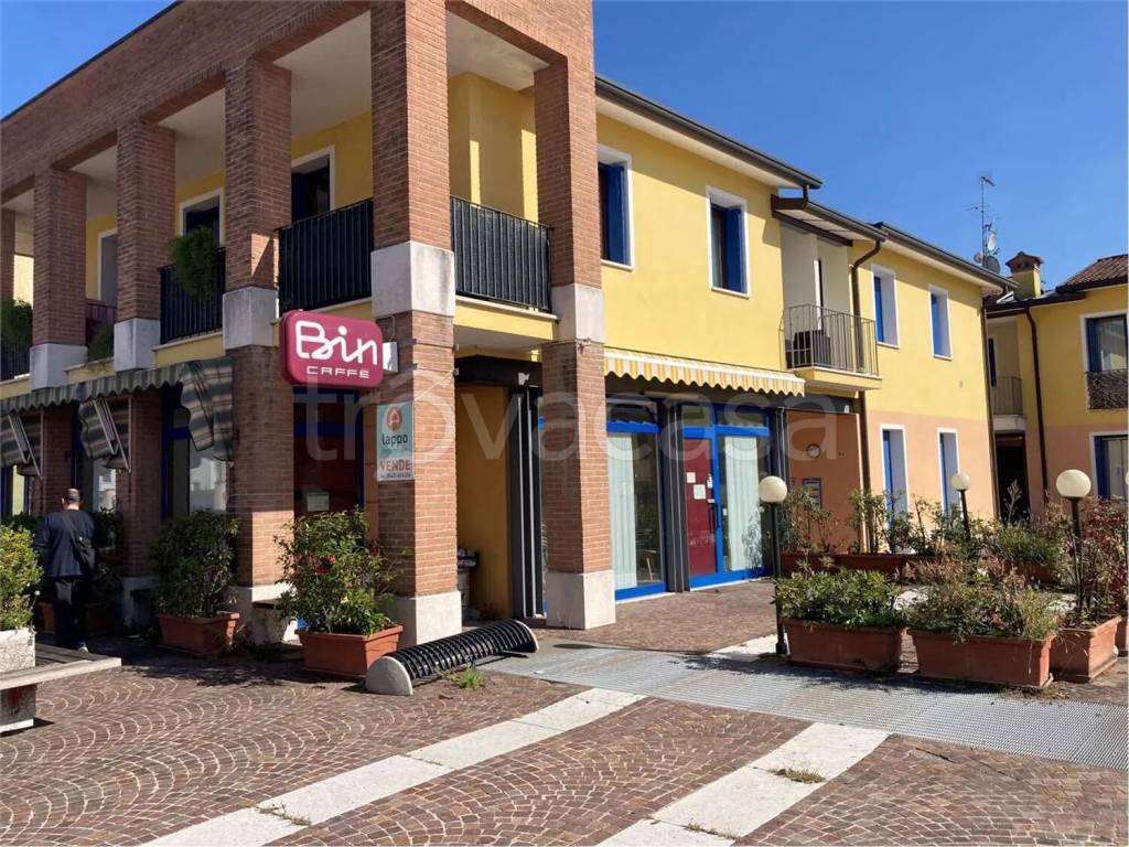 immagine annuncio 3 di 9