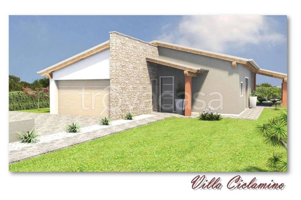 immagine annuncio 6 di 12