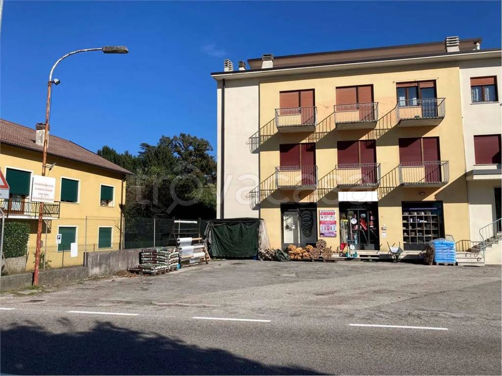 immagine annuncio 2 di 12