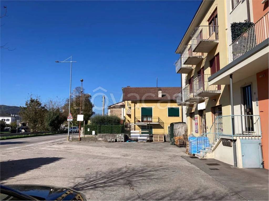 immagine annuncio 3 di 12