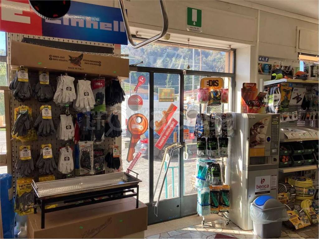 immagine annuncio 6 di 12