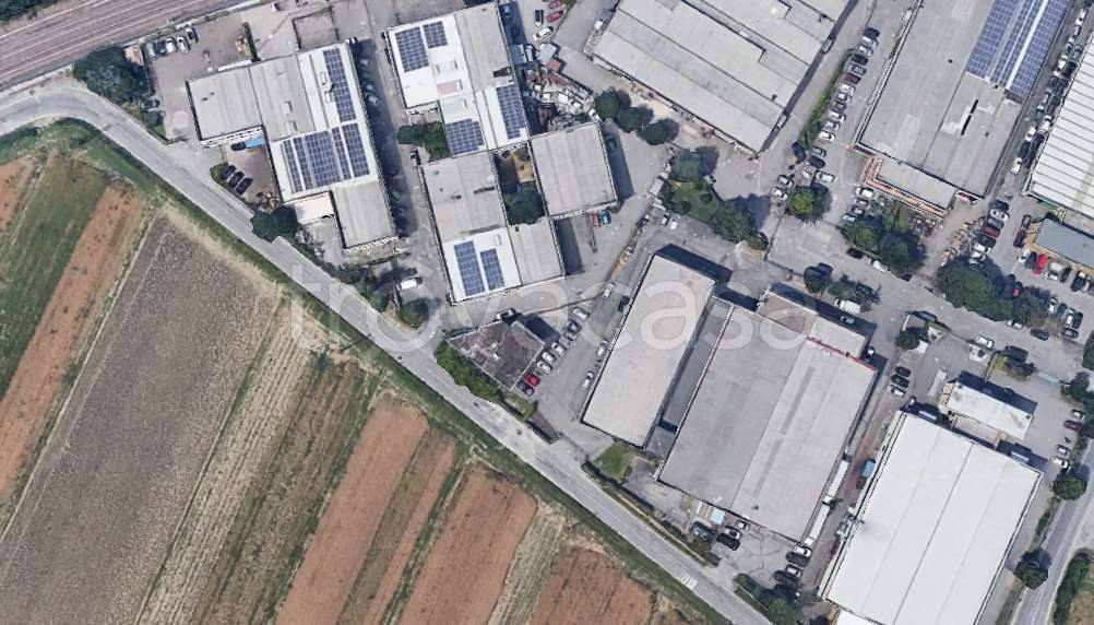 immagine annuncio 6 di 11