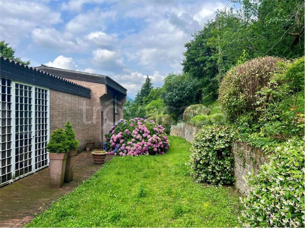 immagine annuncio 6 di 13