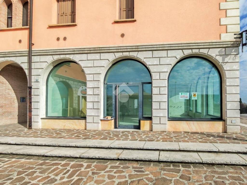 immagine annuncio 7 di 13