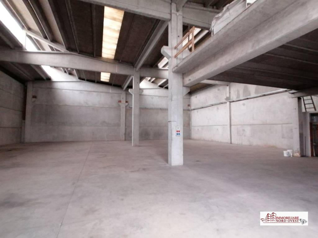 immagine annuncio 6 di 14