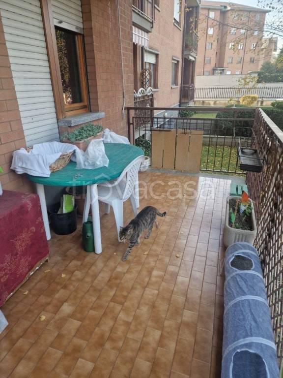 immagine annuncio 4 di 6