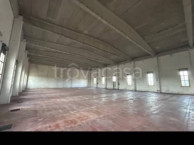 immagine annuncio 4 di 8