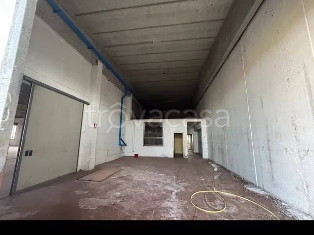 immagine annuncio 5 di 8