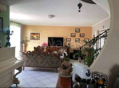 immagine annuncio 5 di 14