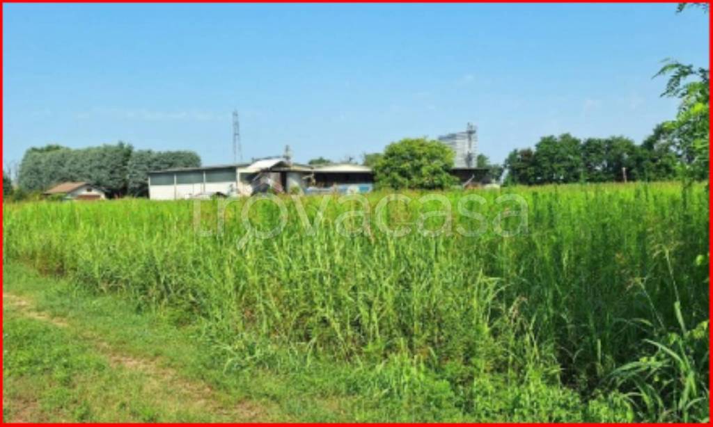 immagine annuncio 3 di 12