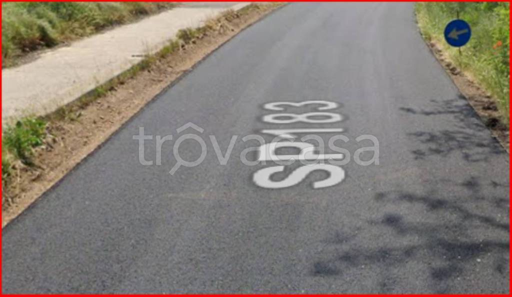 immagine annuncio 4 di 12