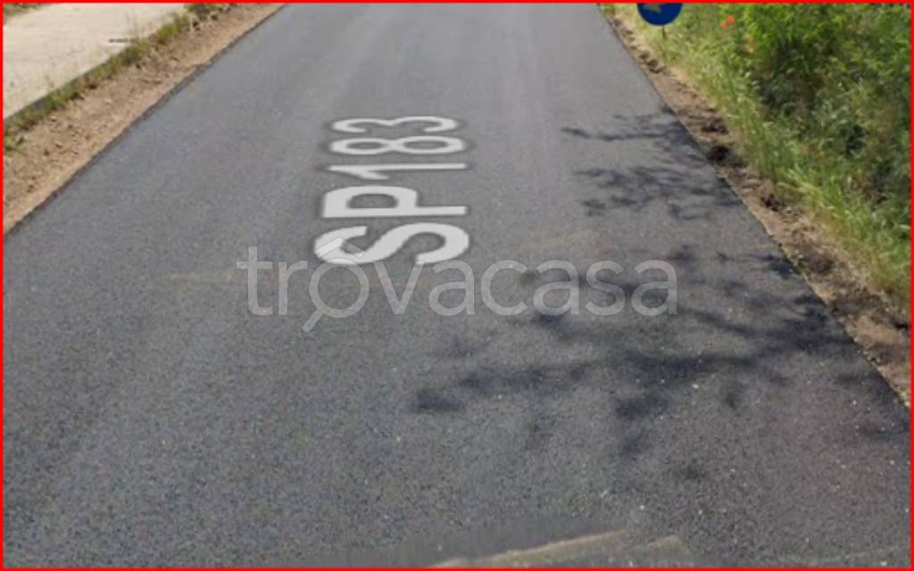 immagine annuncio 5 di 12