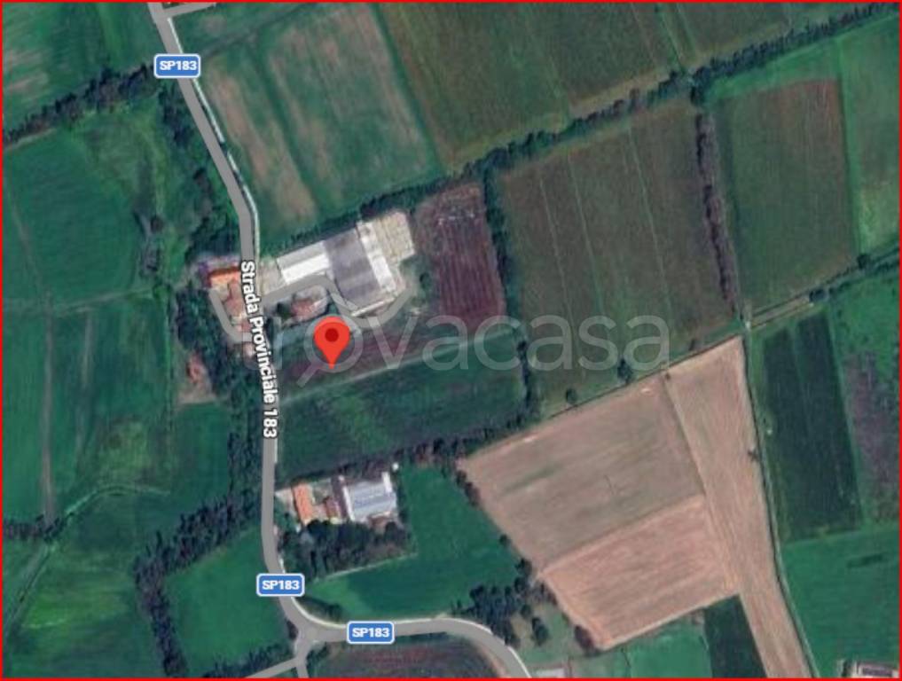 immagine annuncio 11 di 12