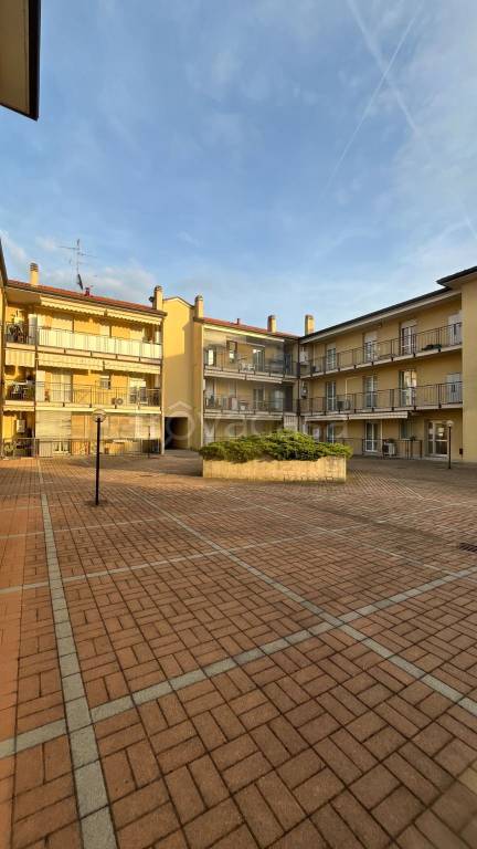 immagine annuncio 1 di 15