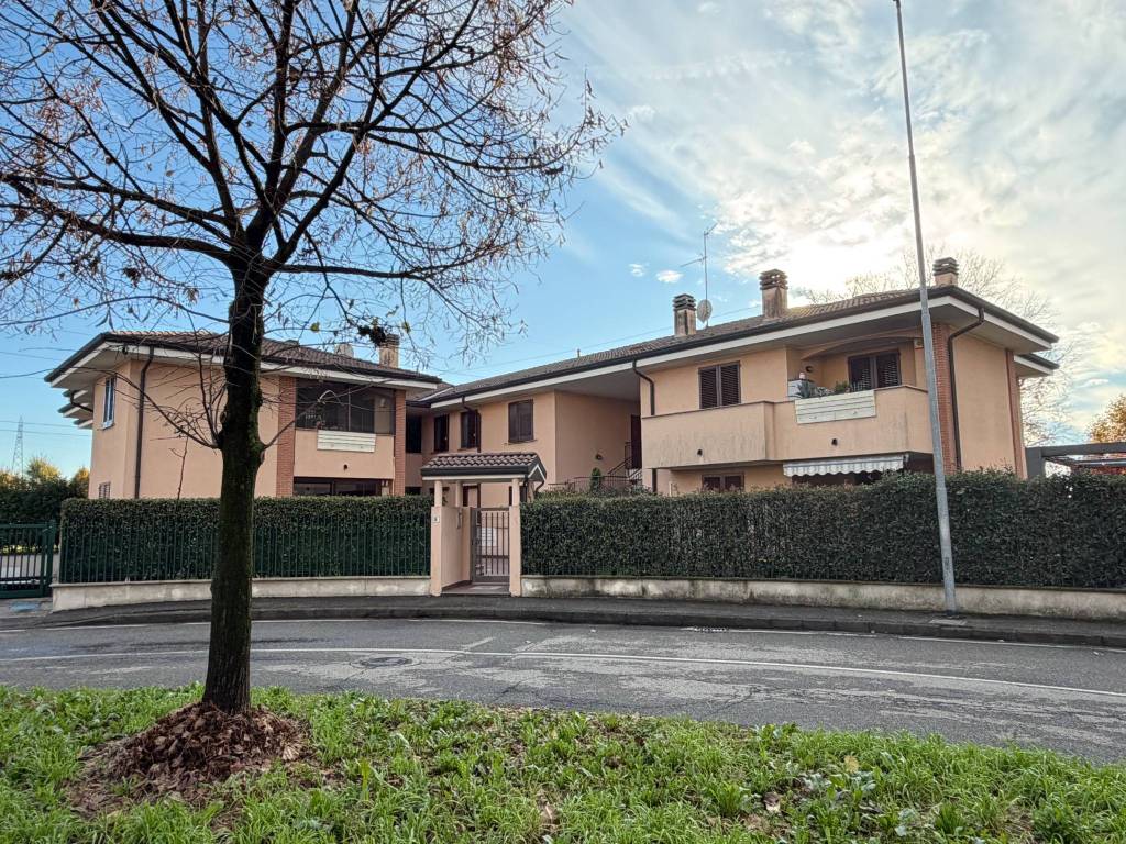 immagine annuncio 1 di 15