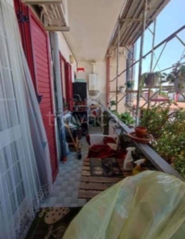 immagine annuncio 4 di 12