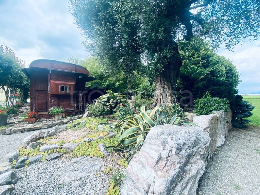 immagine annuncio 9 di 15