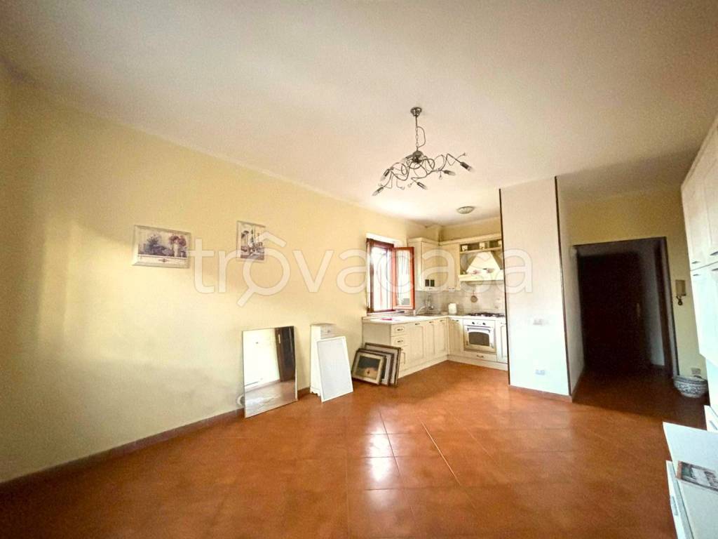 immagine annuncio 1 di 14