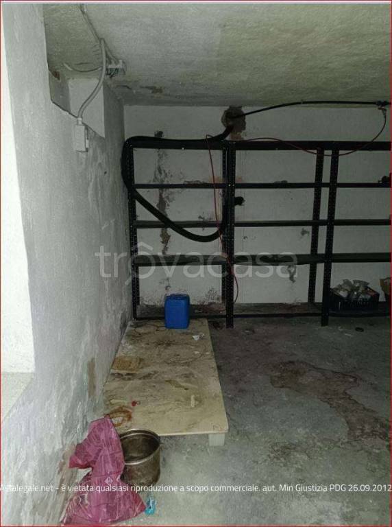 immagine annuncio 1 di 14