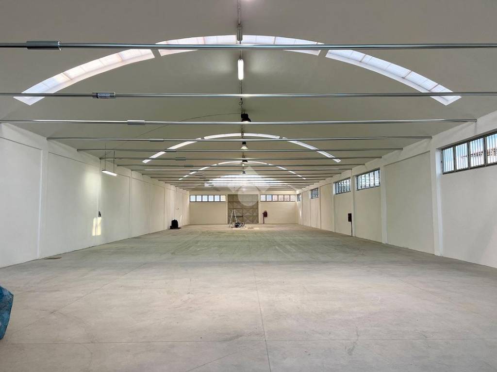 immagine annuncio 5 di 7