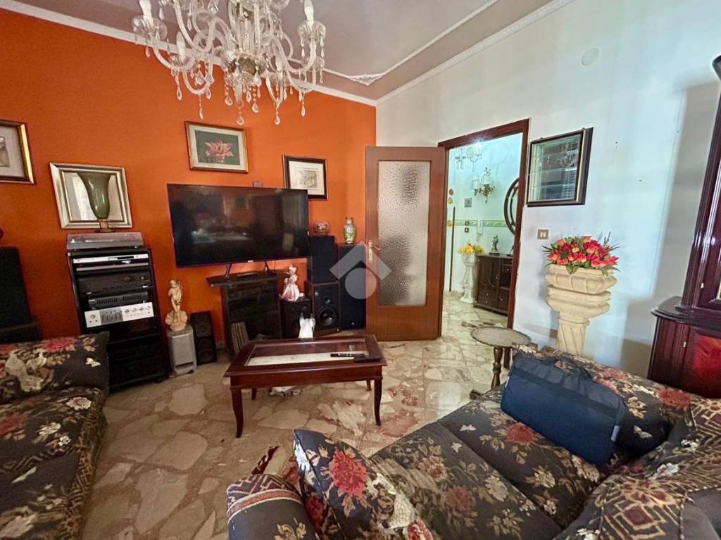 immagine annuncio 3 di 13