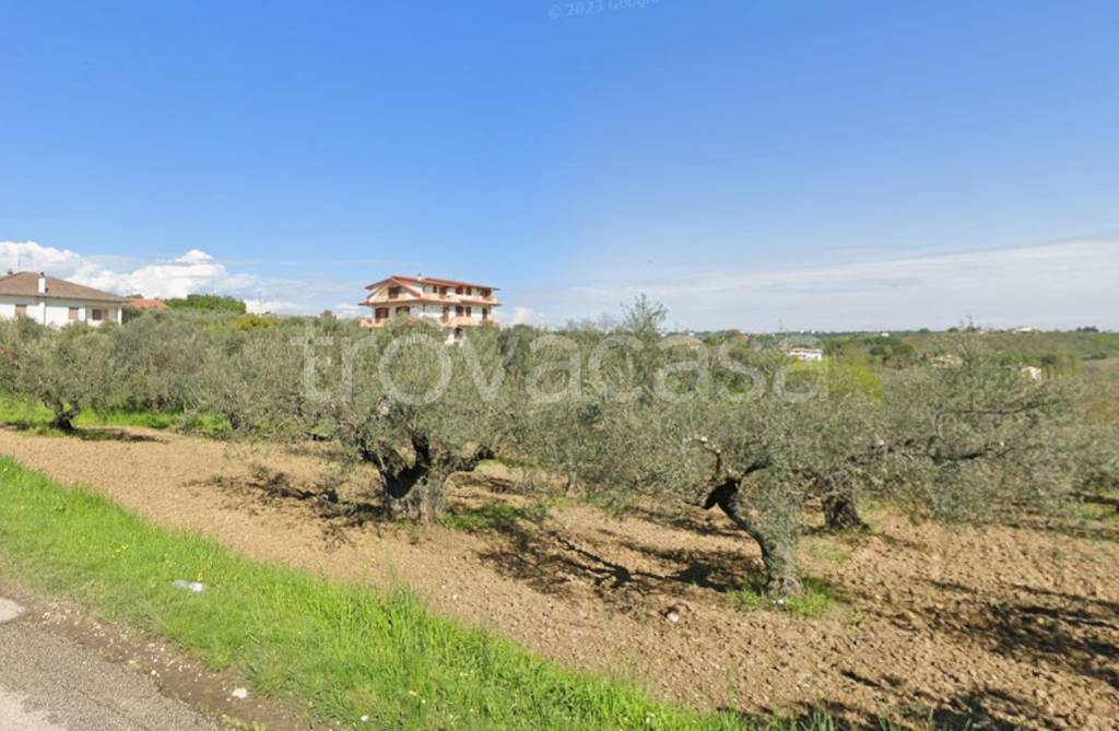 immagine annuncio 3 di 4