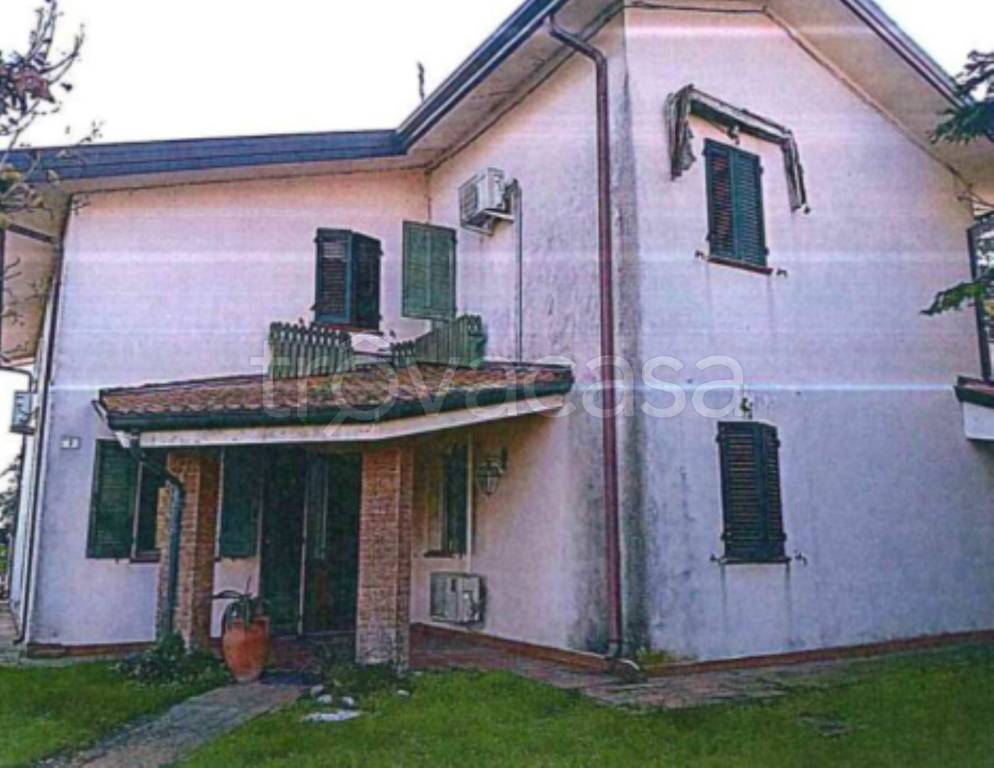 immagine annuncio 3 di 11