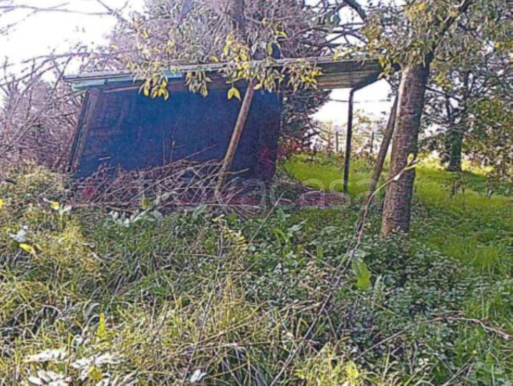 immagine annuncio 9 di 11