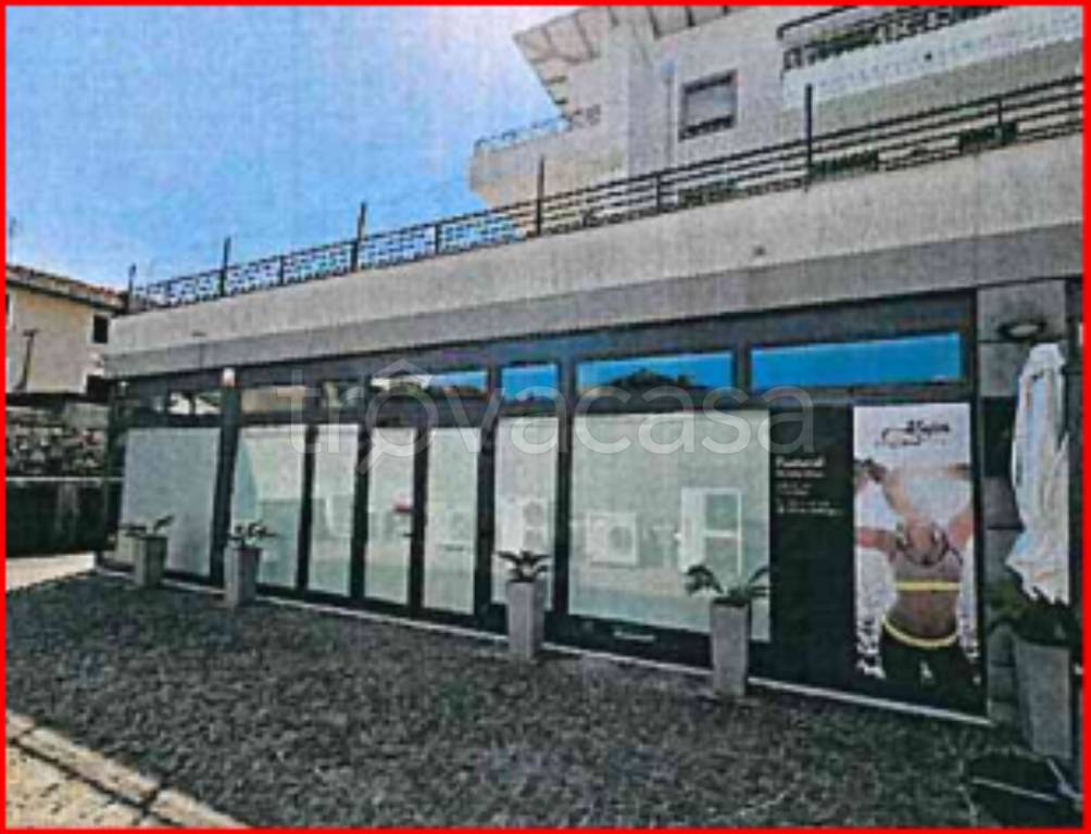 immagine annuncio 2 di 12