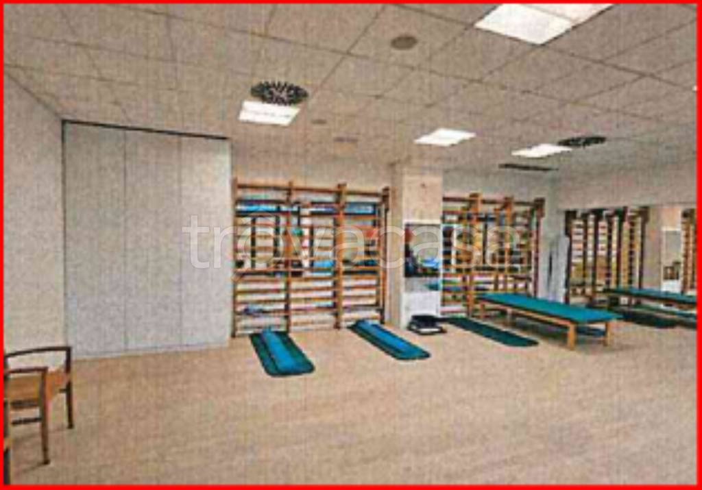 immagine annuncio 3 di 12