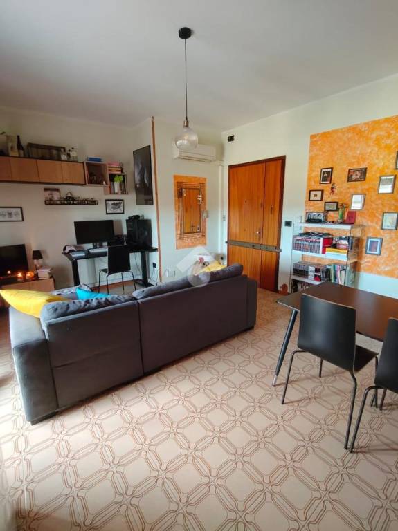 immagine annuncio 3 di 14