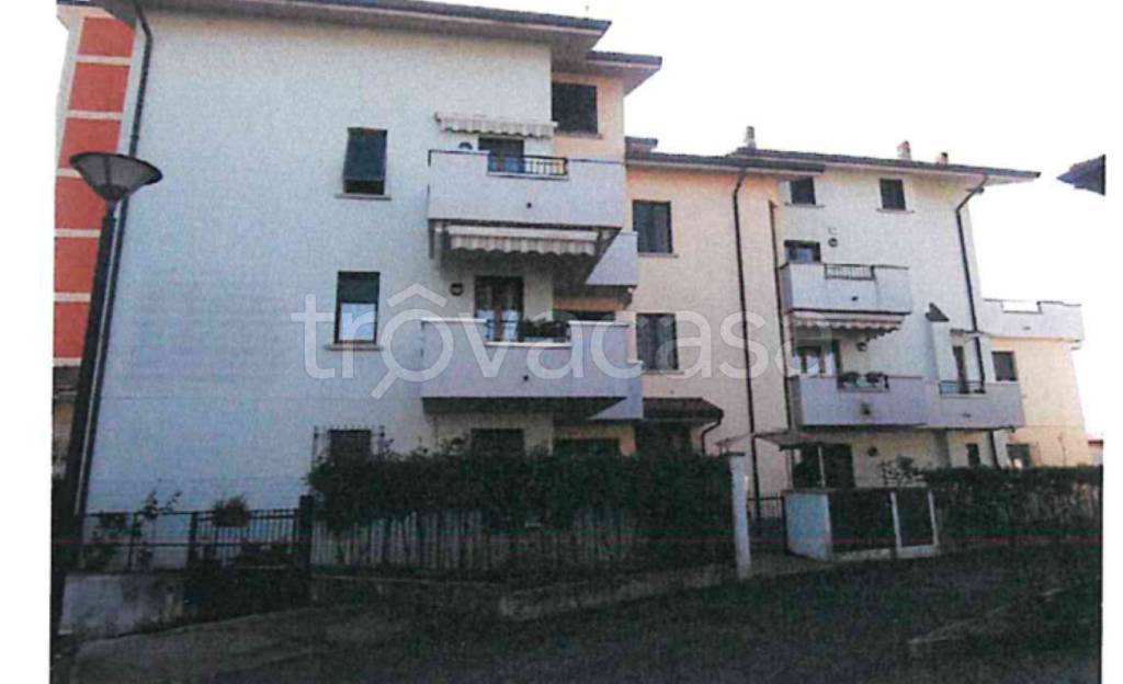 immagine annuncio 1 di 12